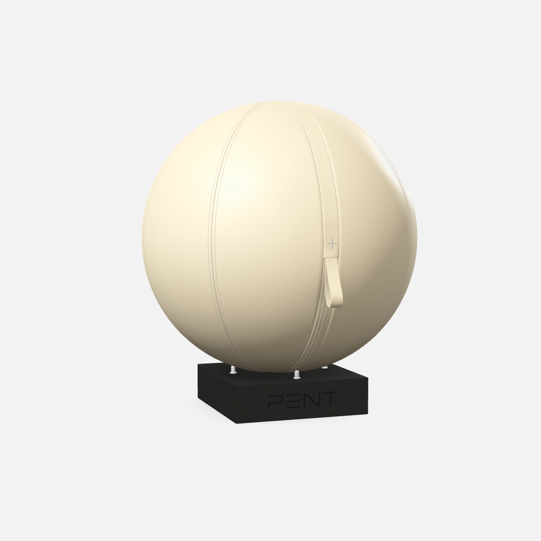 Mesno Exercise Ball