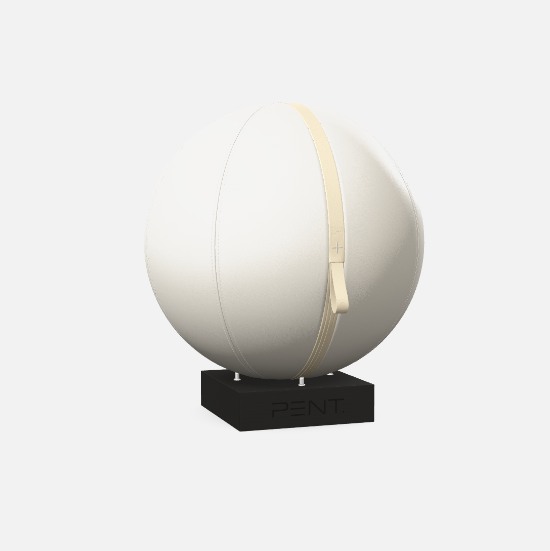Mesno Exercise Ball