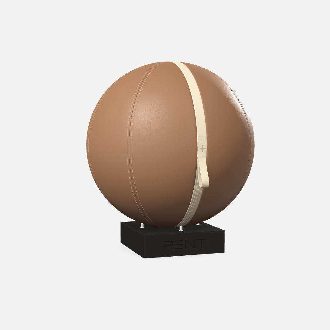 Mesno Exercise Ball
