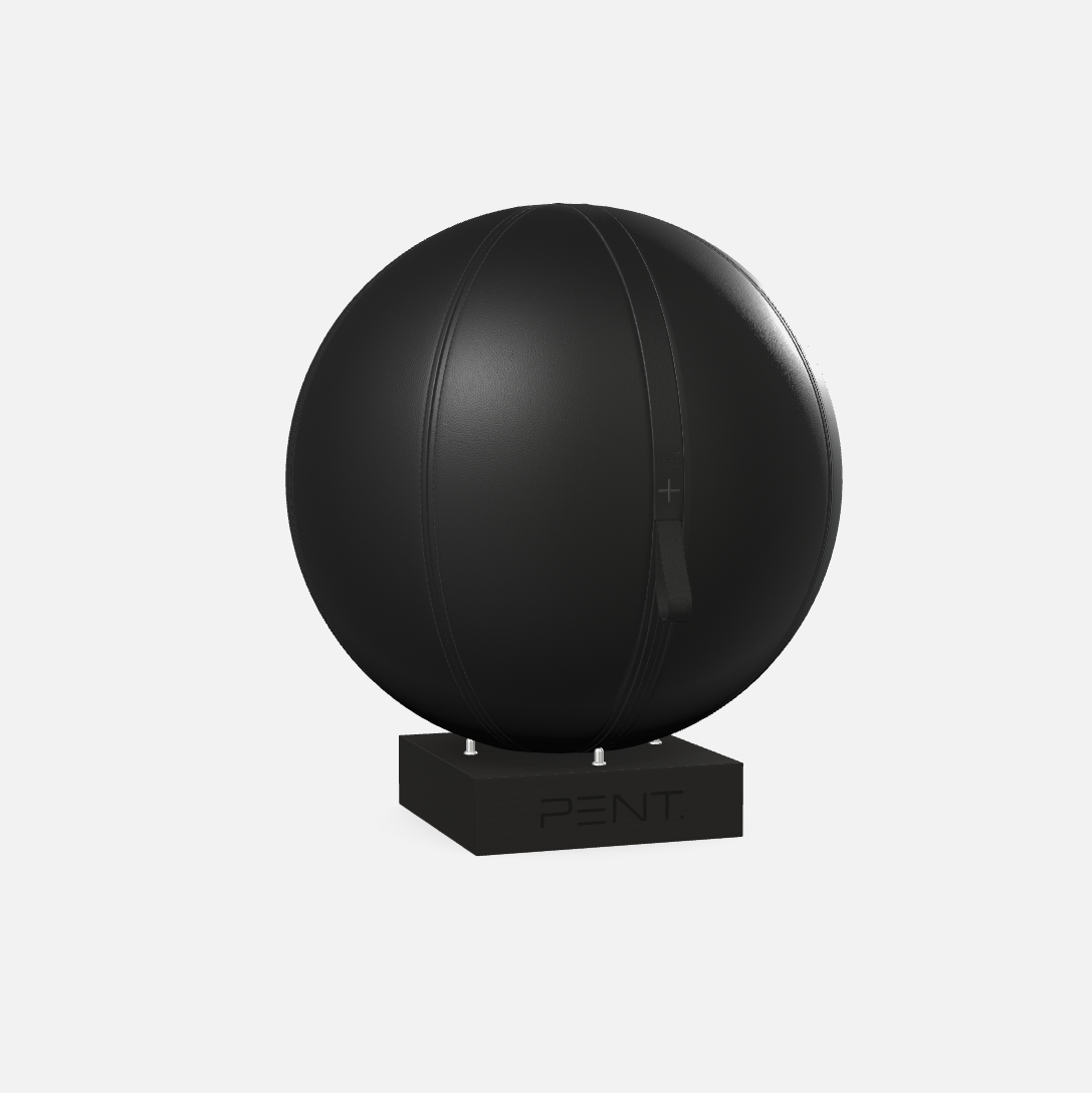Mesno Exercise Ball