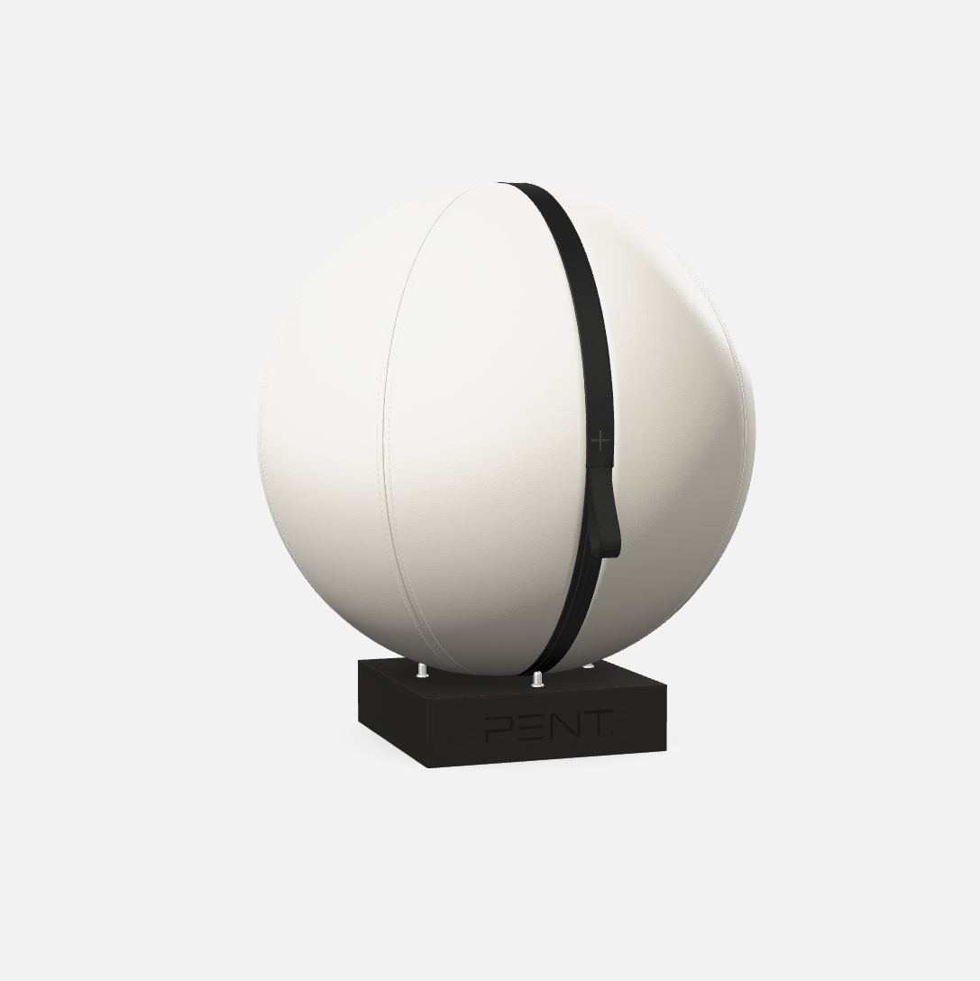 Mesno Exercise Ball