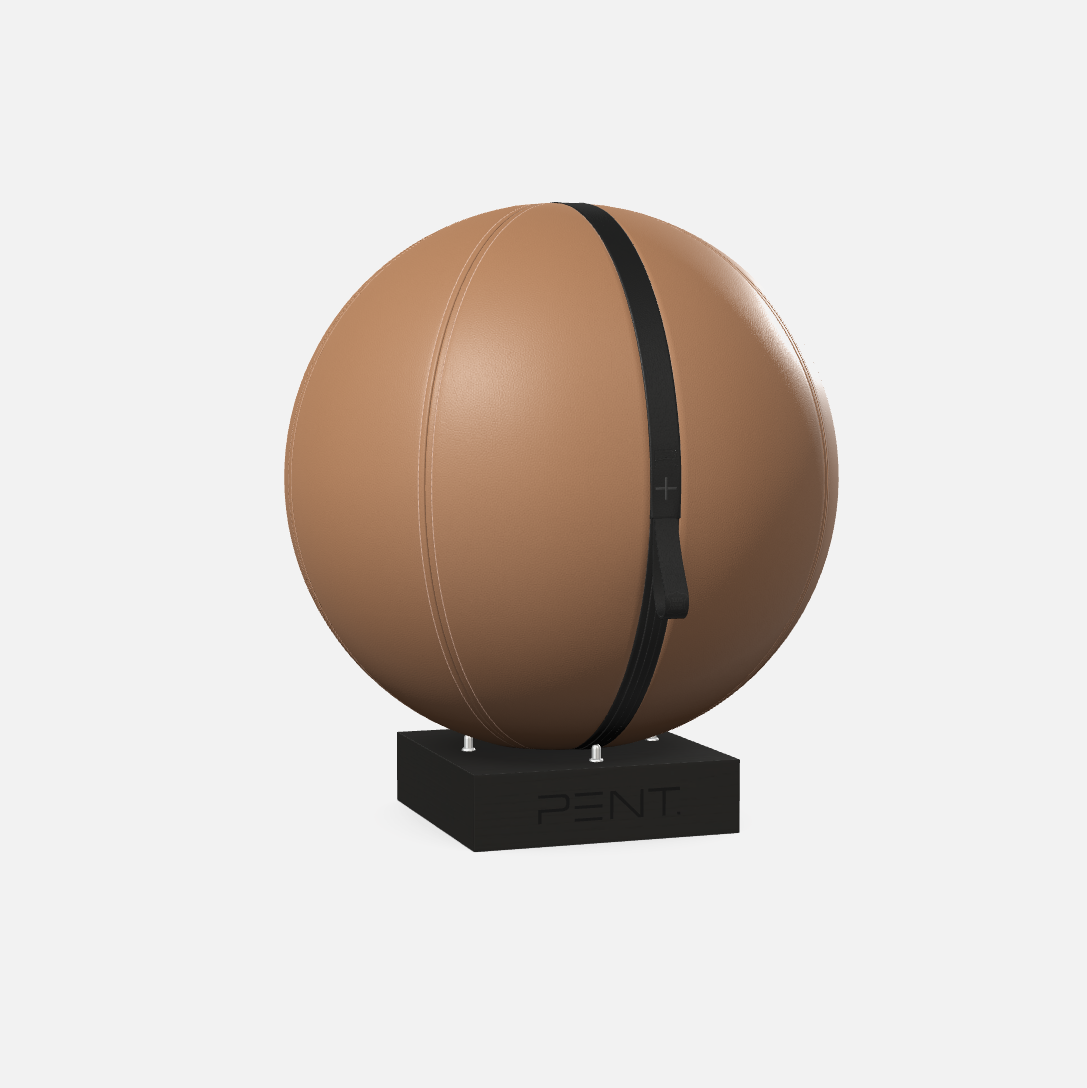 Mesno Exercise Ball