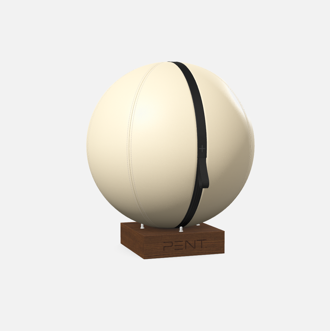 Mesno Exercise Ball