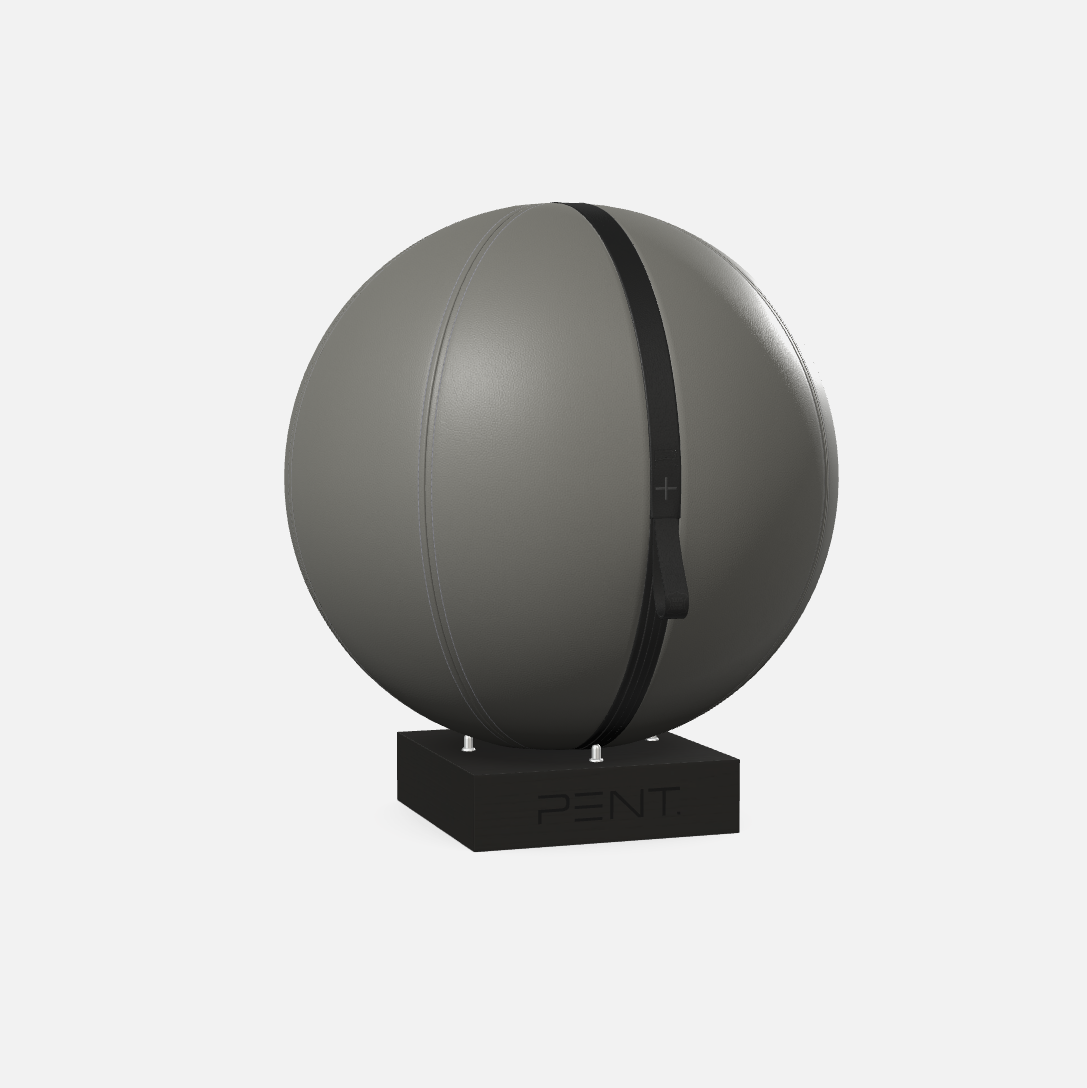 Mesno Exercise Ball