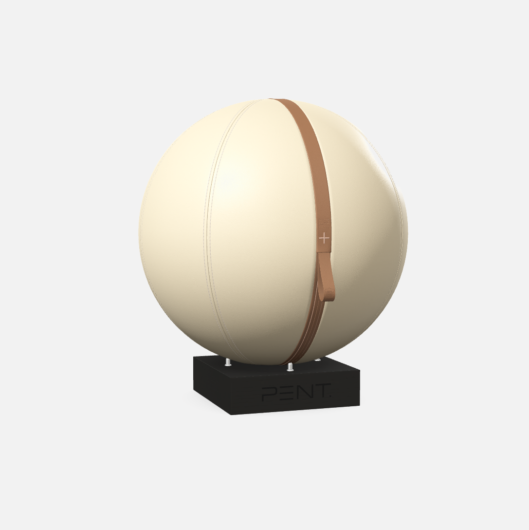 Mesno Exercise Ball