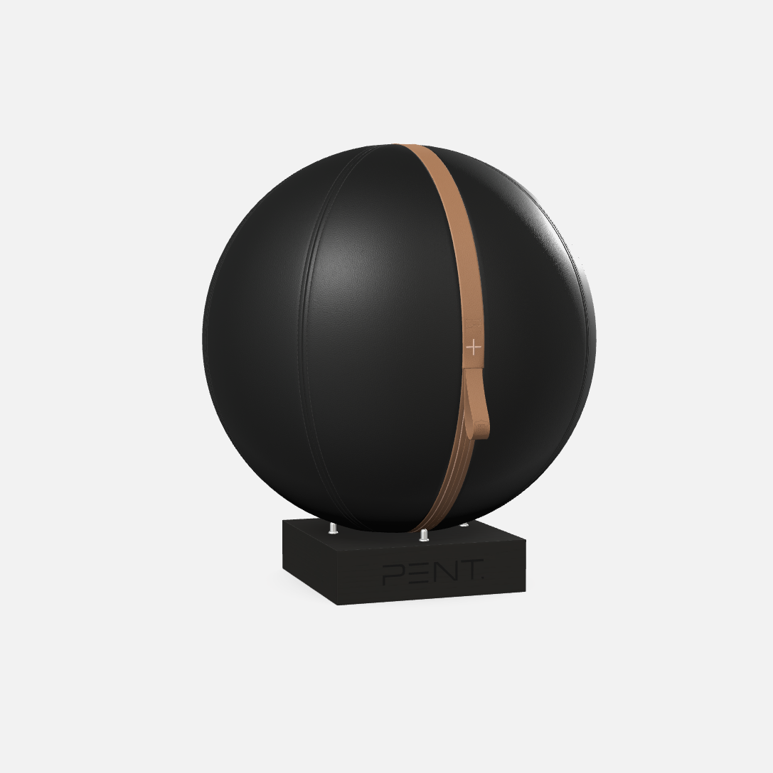 Mesno Exercise Ball
