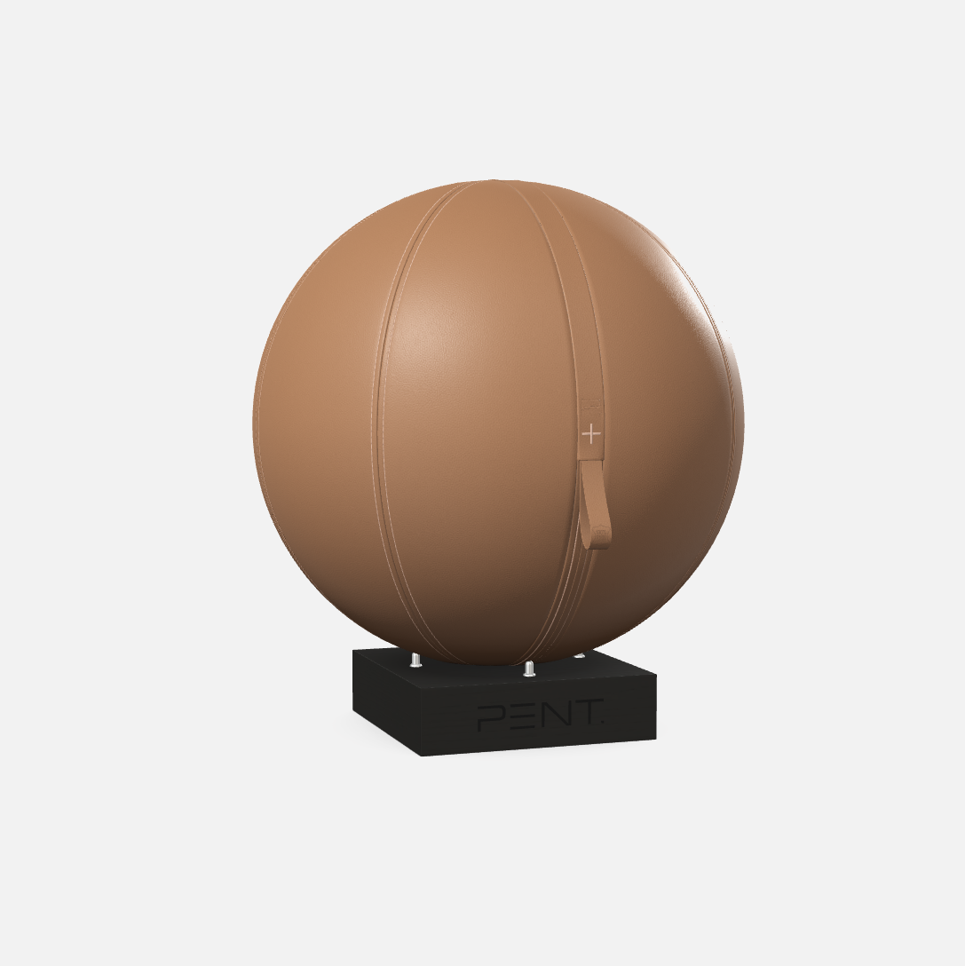 Mesno Exercise Ball