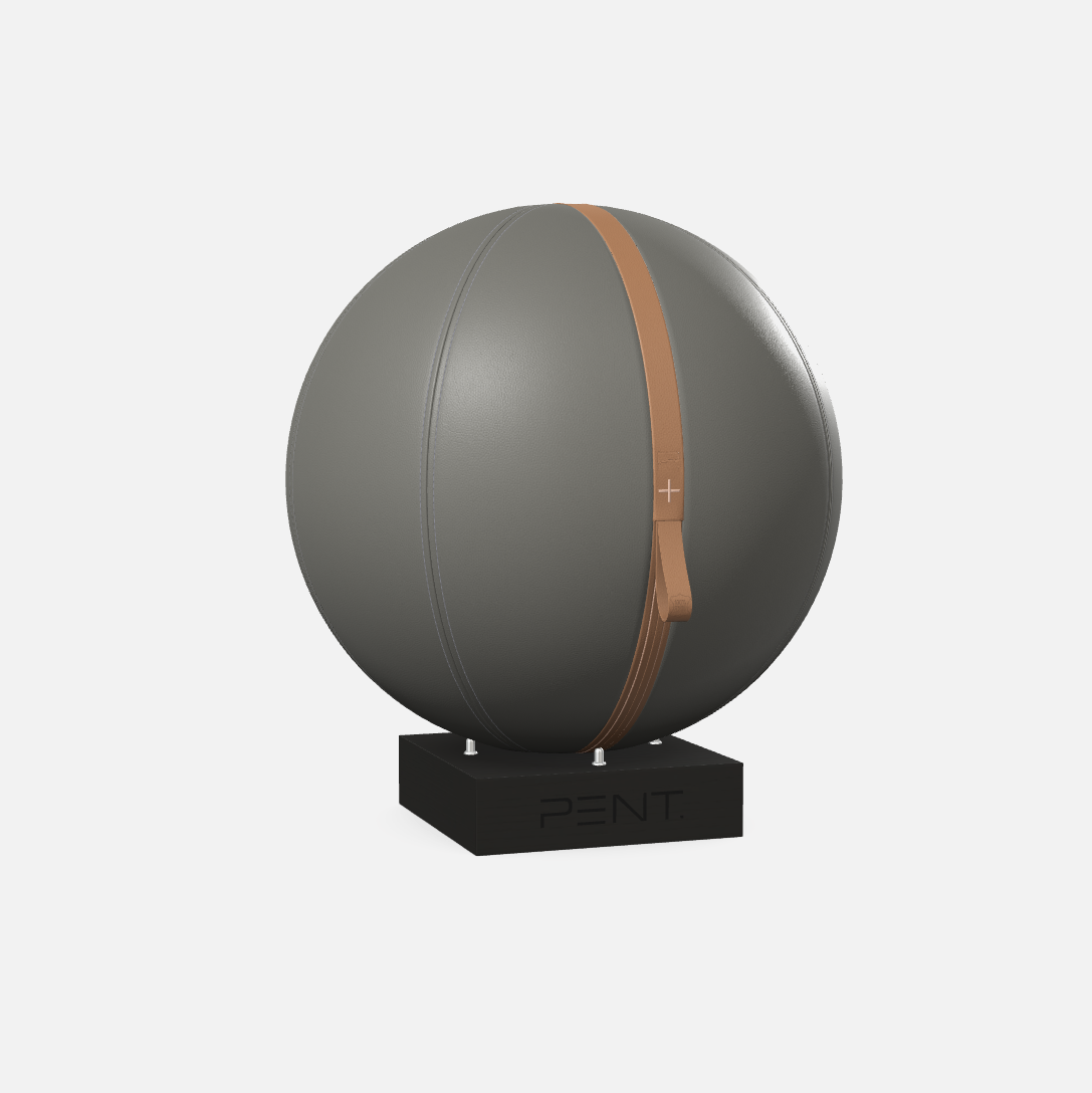Mesno Exercise Ball