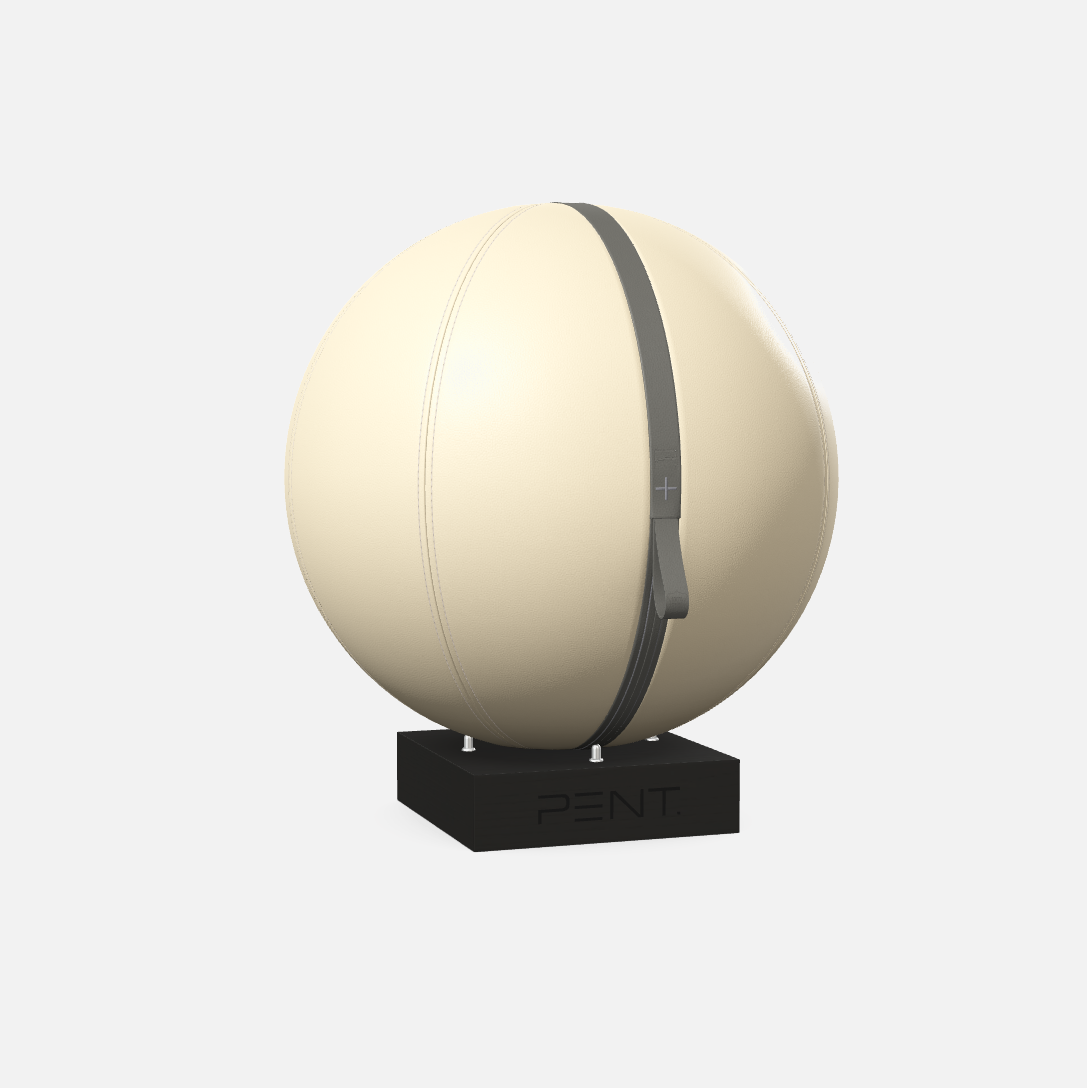 Mesno Exercise Ball