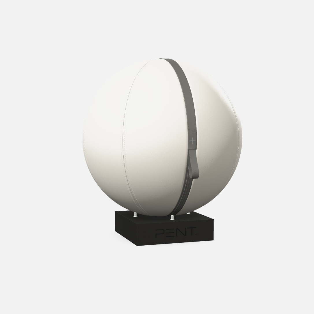 Mesno Exercise Ball