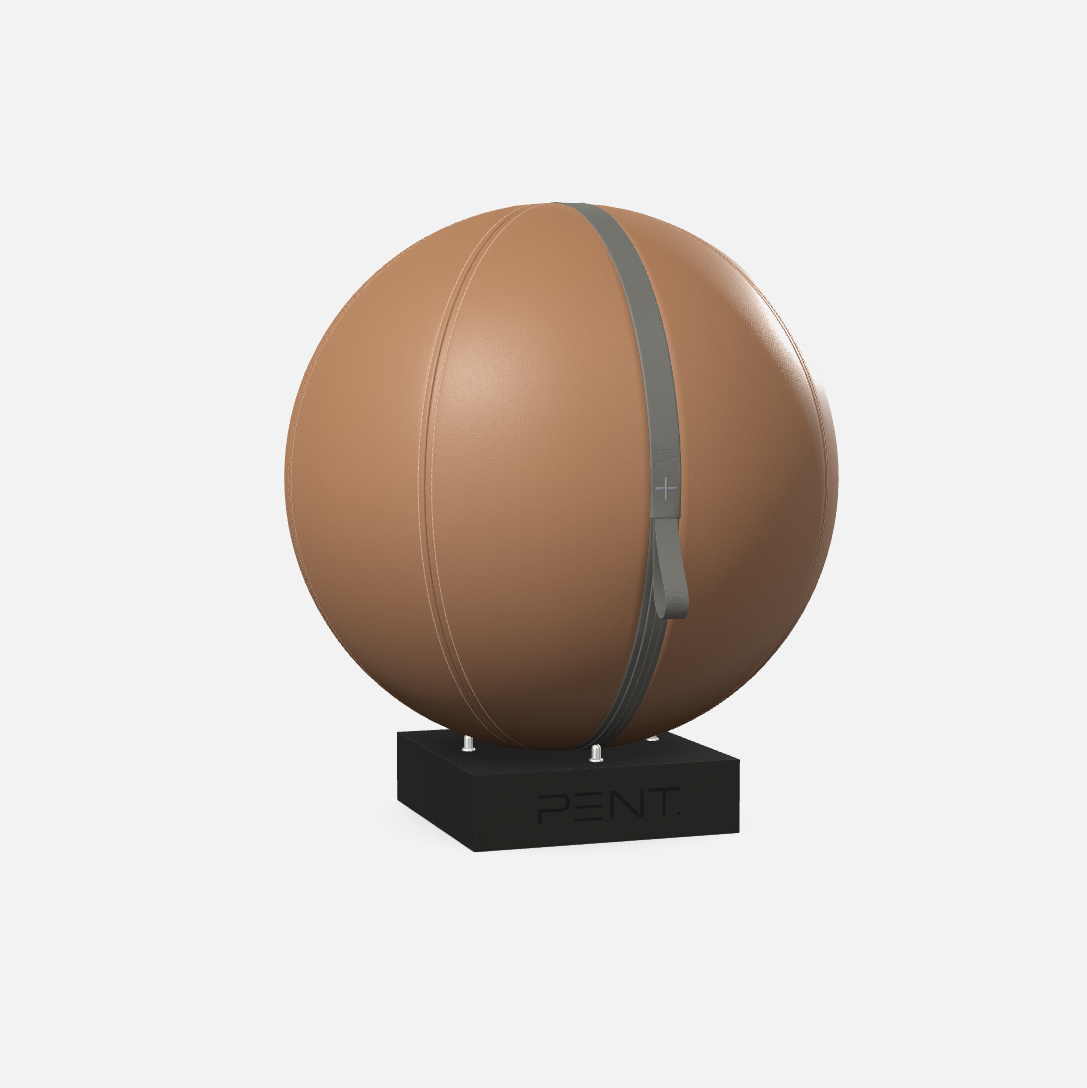 Mesno Exercise Ball