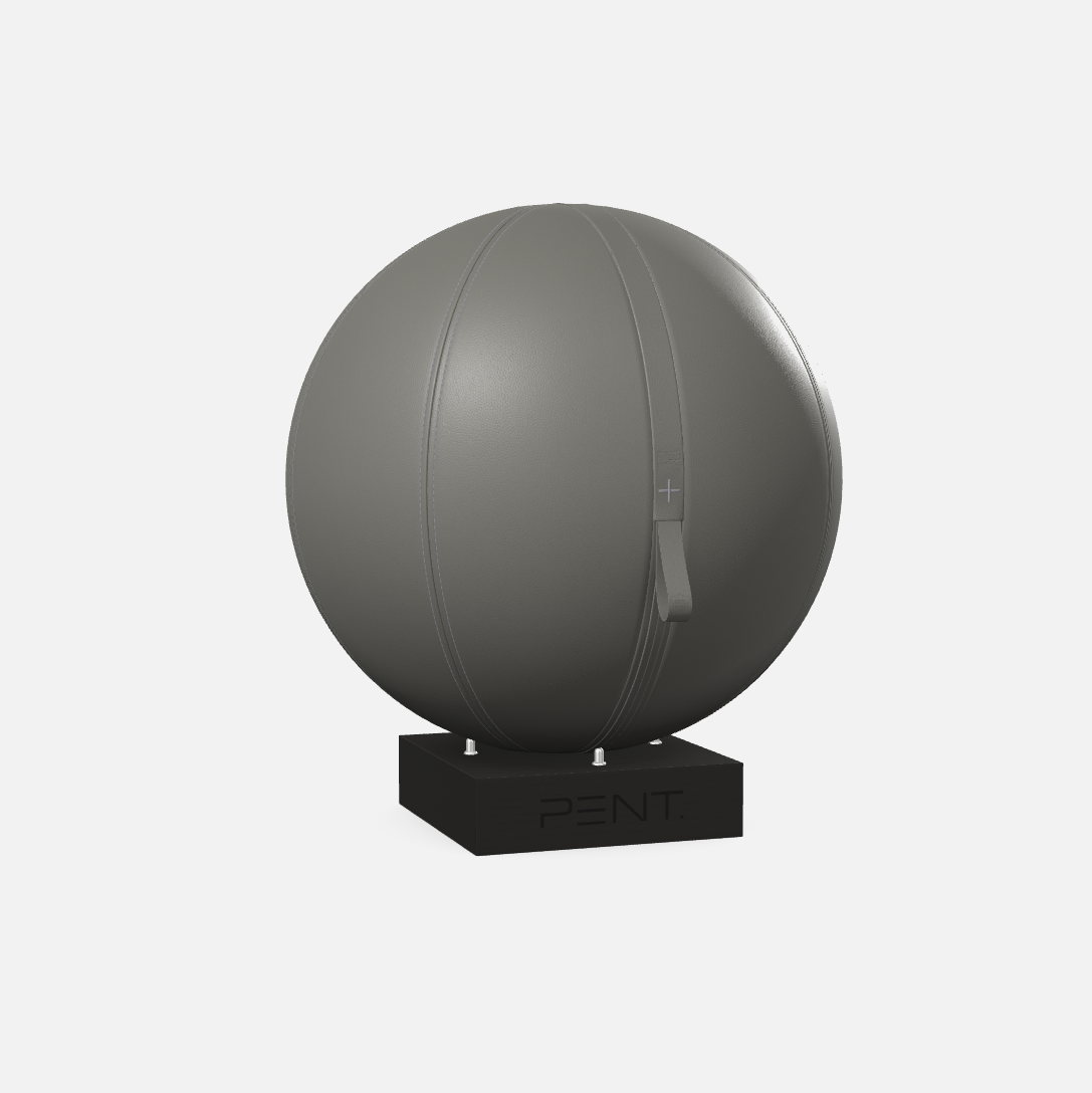 Mesno Exercise Ball