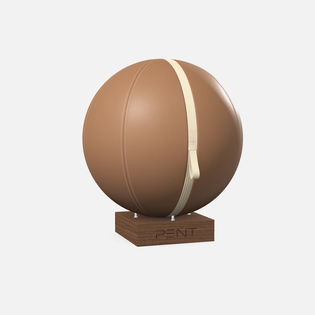 Mesno Exercise Ball