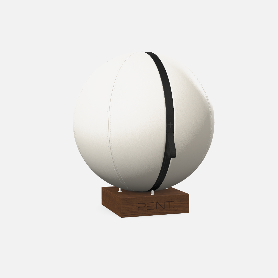Mesno Exercise Ball