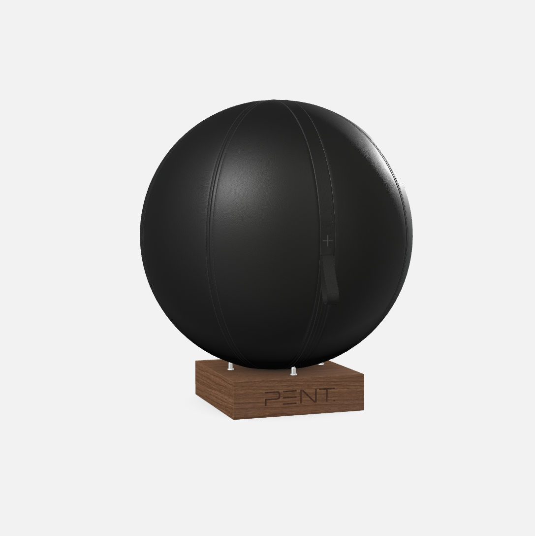 Mesno Exercise Ball