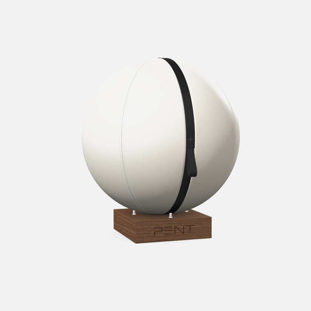 Mesno Exercise Ball