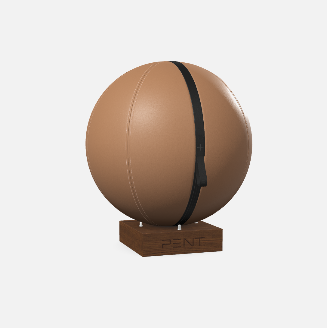 Mesno Exercise Ball