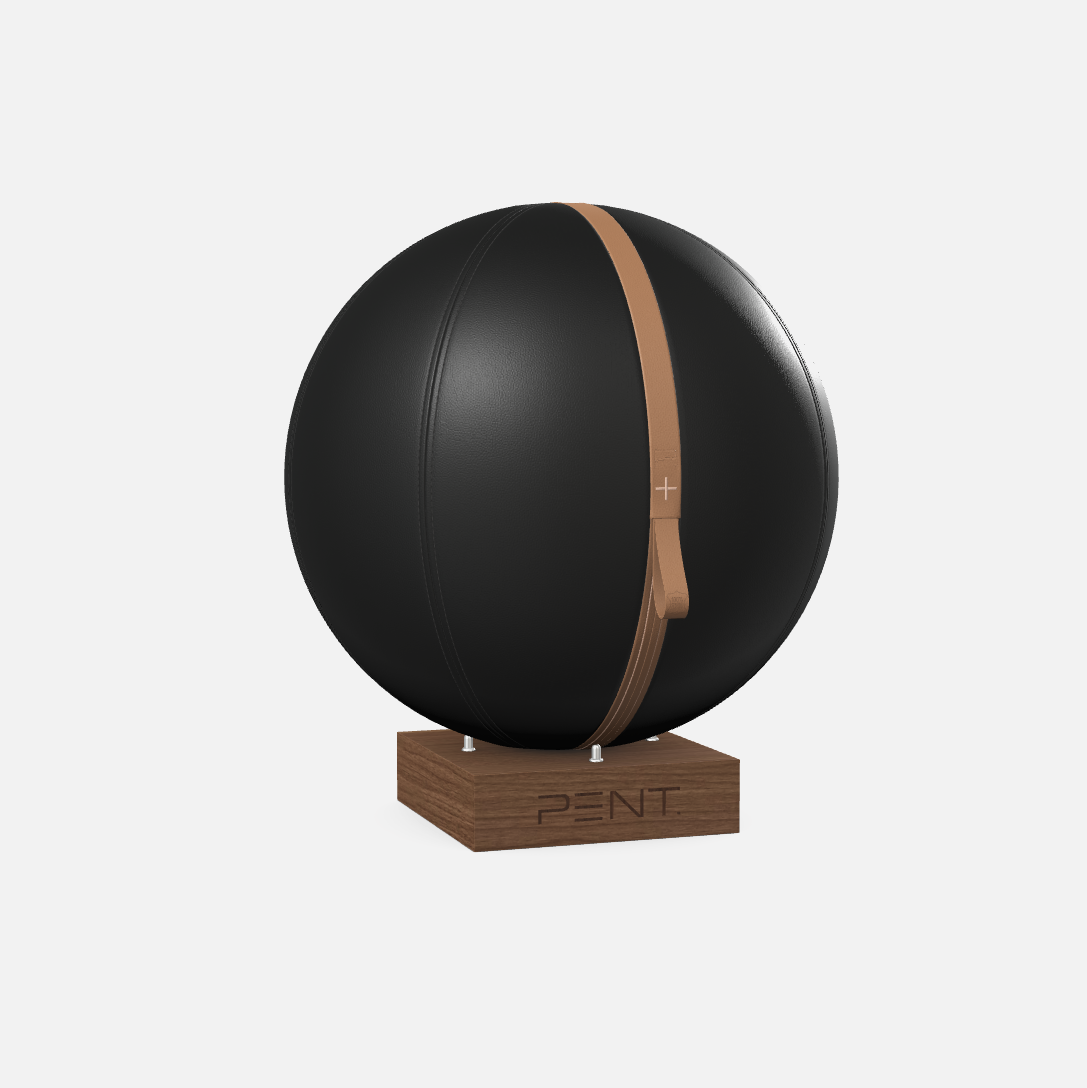 Mesno Exercise Ball