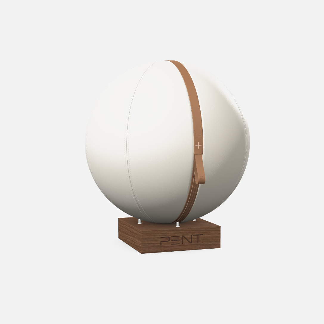 Mesno Exercise Ball