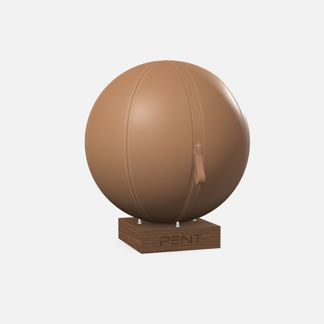 Mesno Exercise Ball