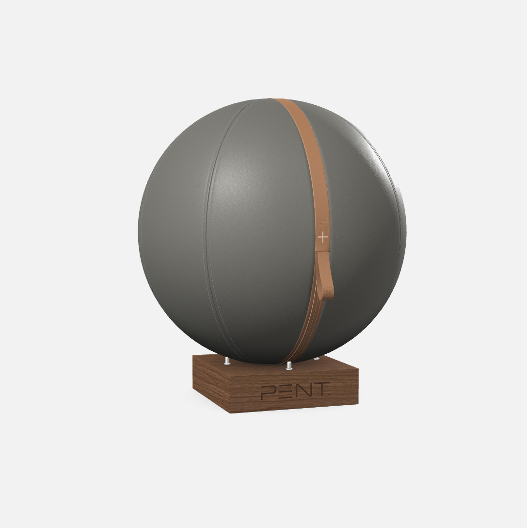 Mesno Exercise Ball