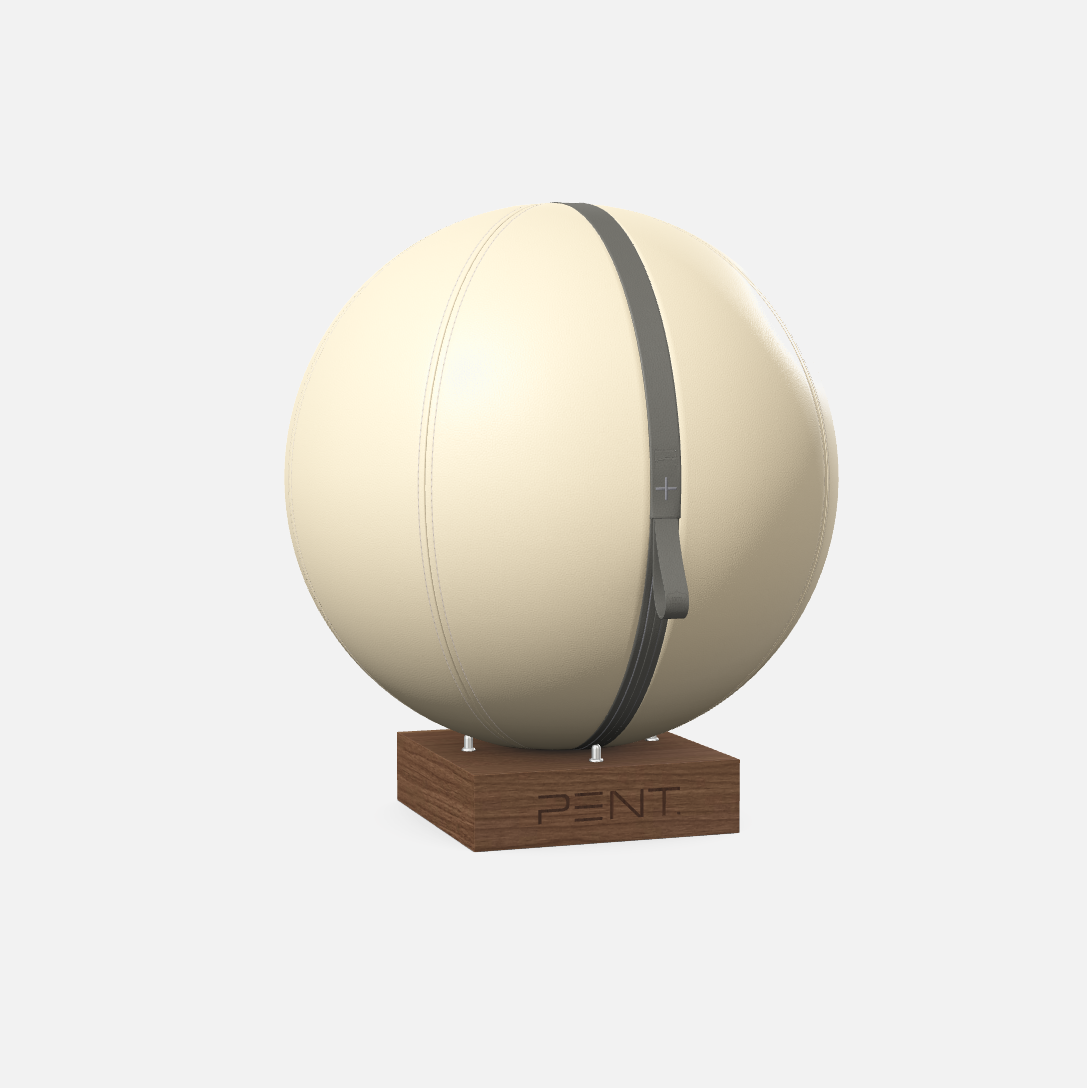 Mesno Exercise Ball