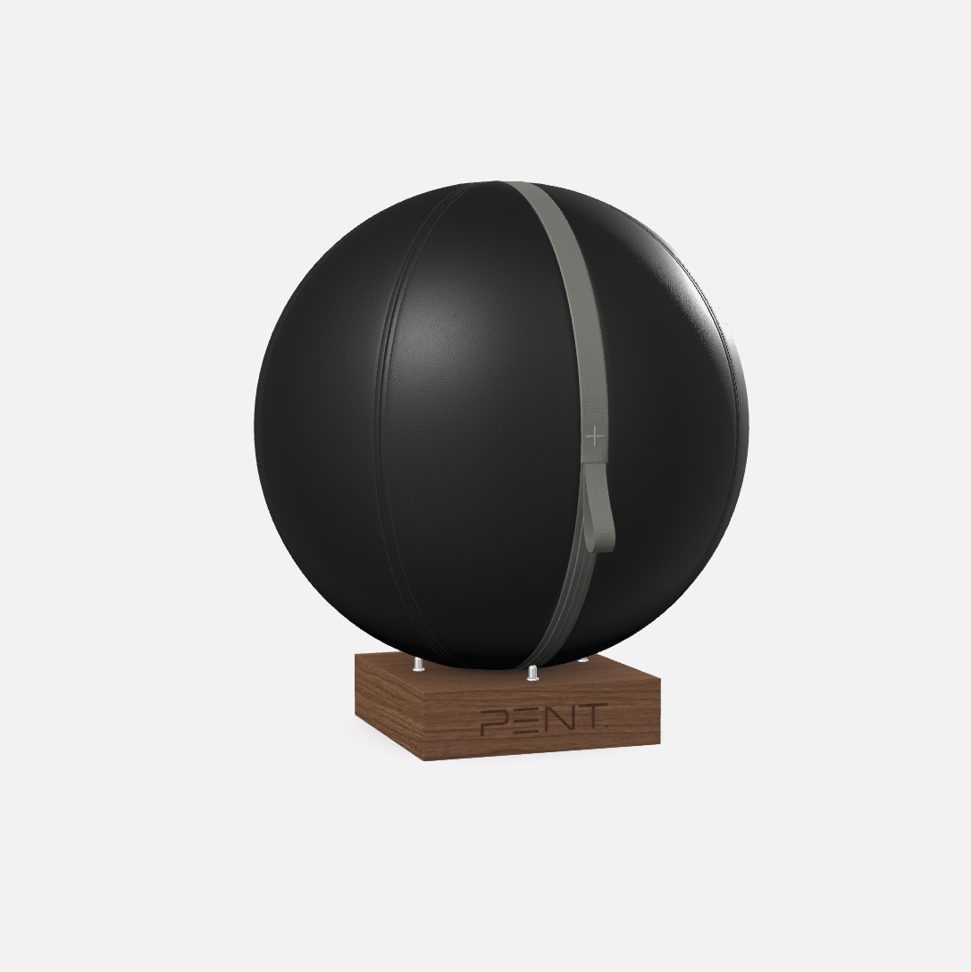 Mesno Exercise Ball