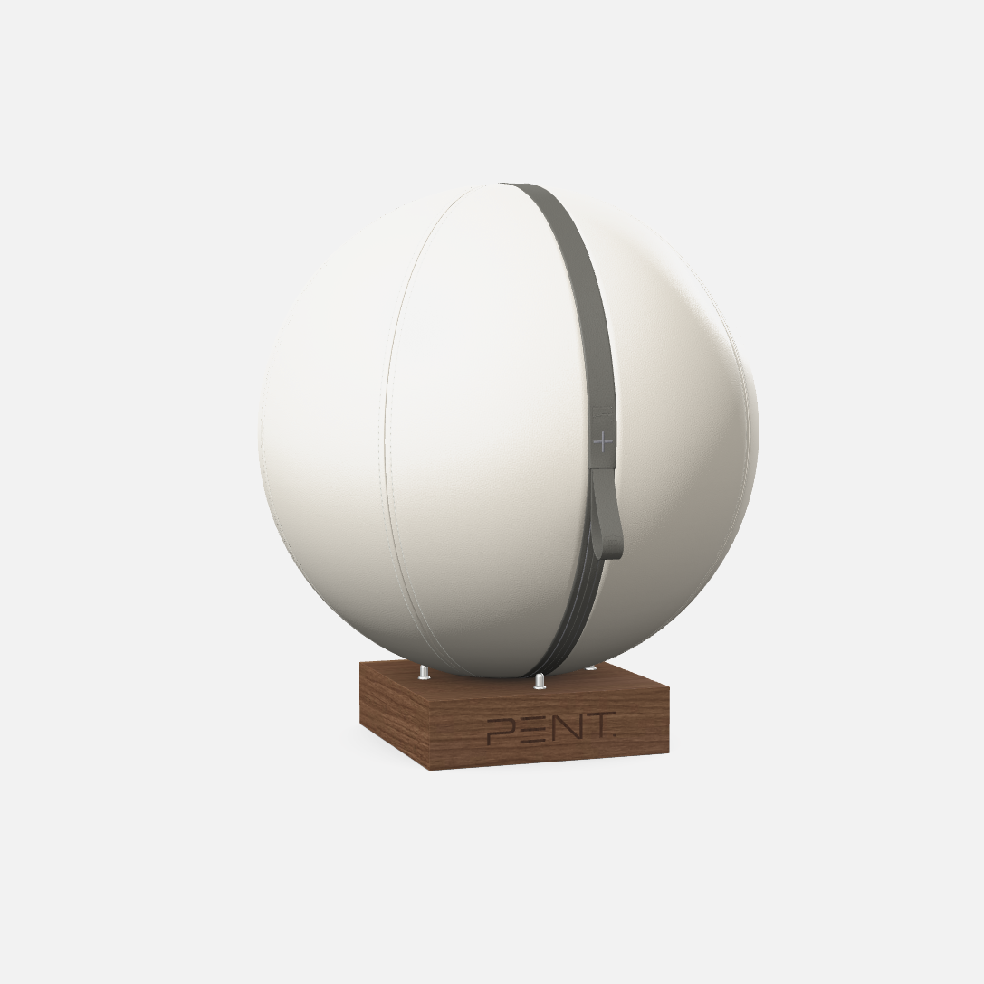 Mesno Exercise Ball