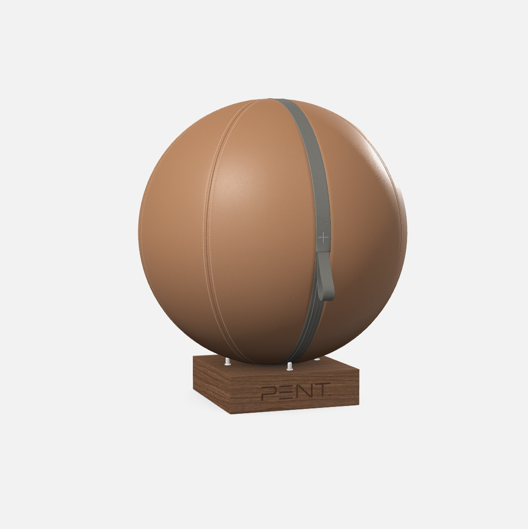 Mesno Exercise Ball