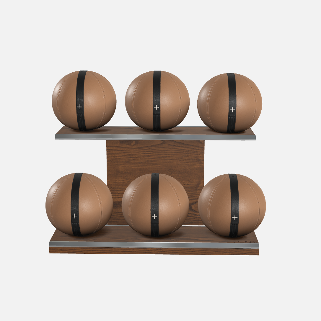 Moxa Leather Medicine Ball Set, Full