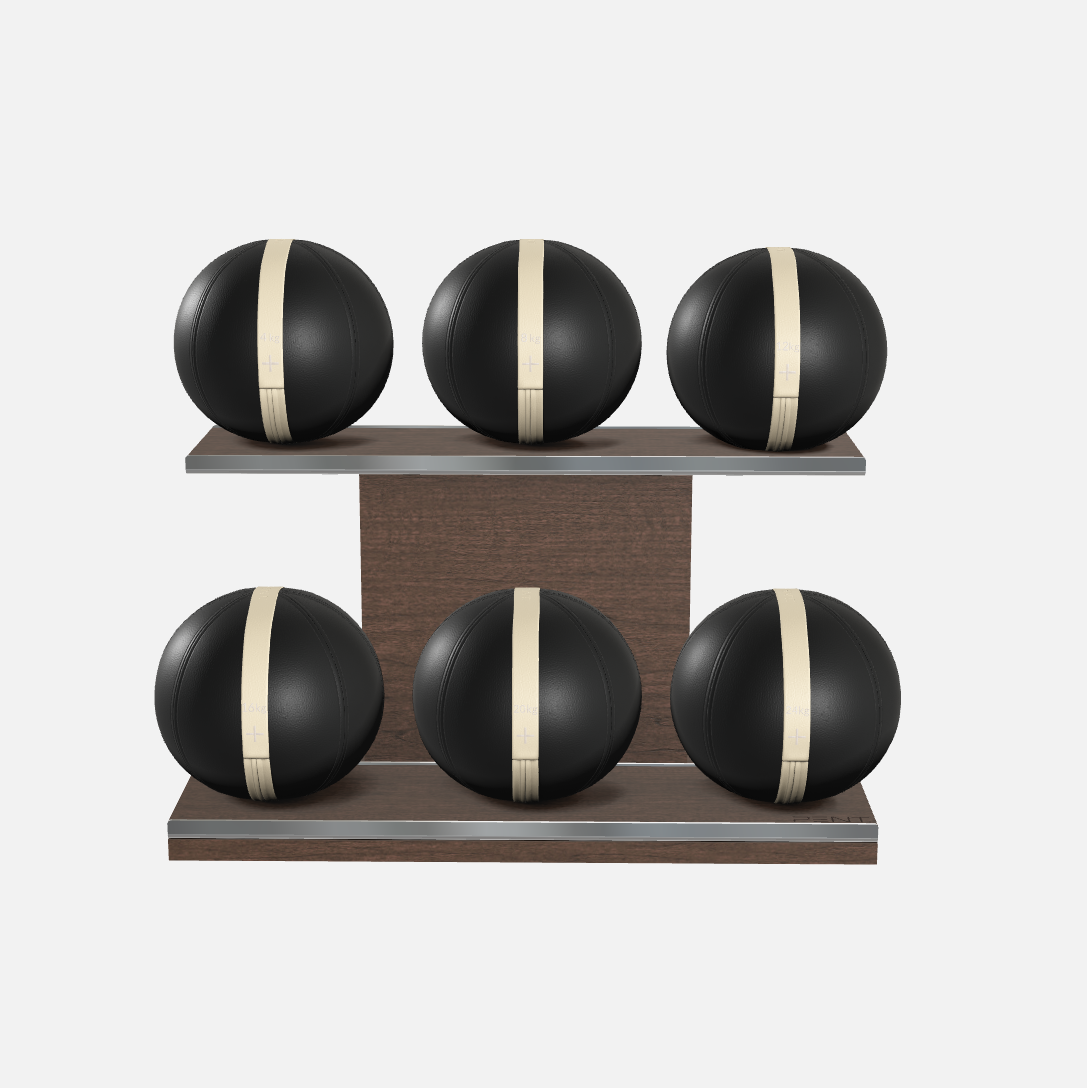 Moxa Leather Medicine Ball Set, Full