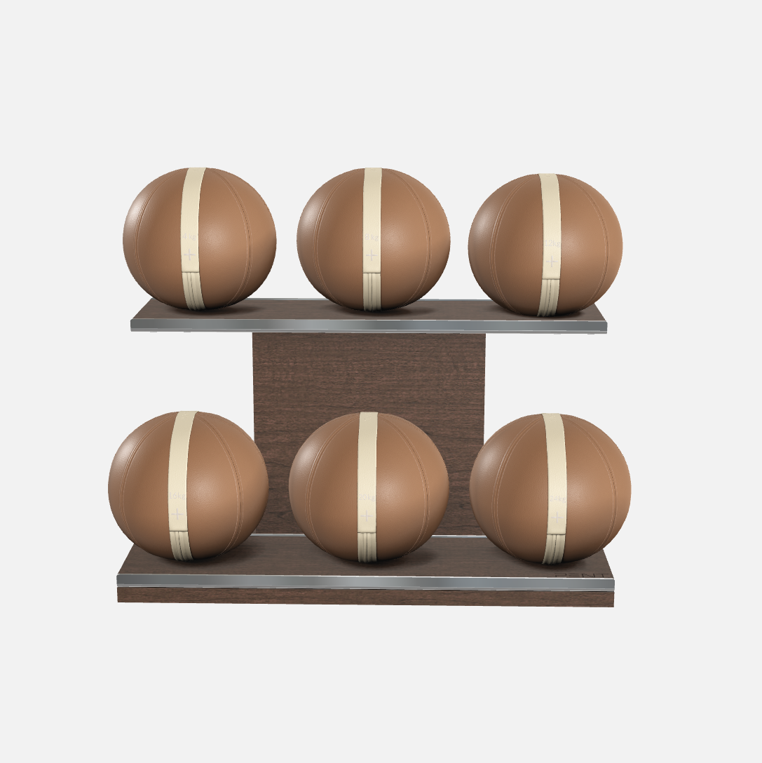 Moxa Leather Medicine Ball Set, Full