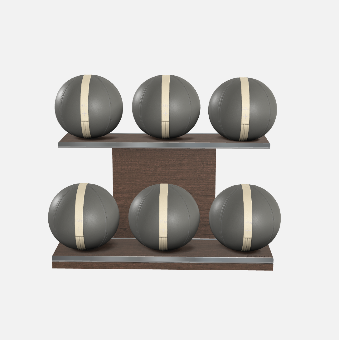 Moxa Leather Medicine Ball Set, Full