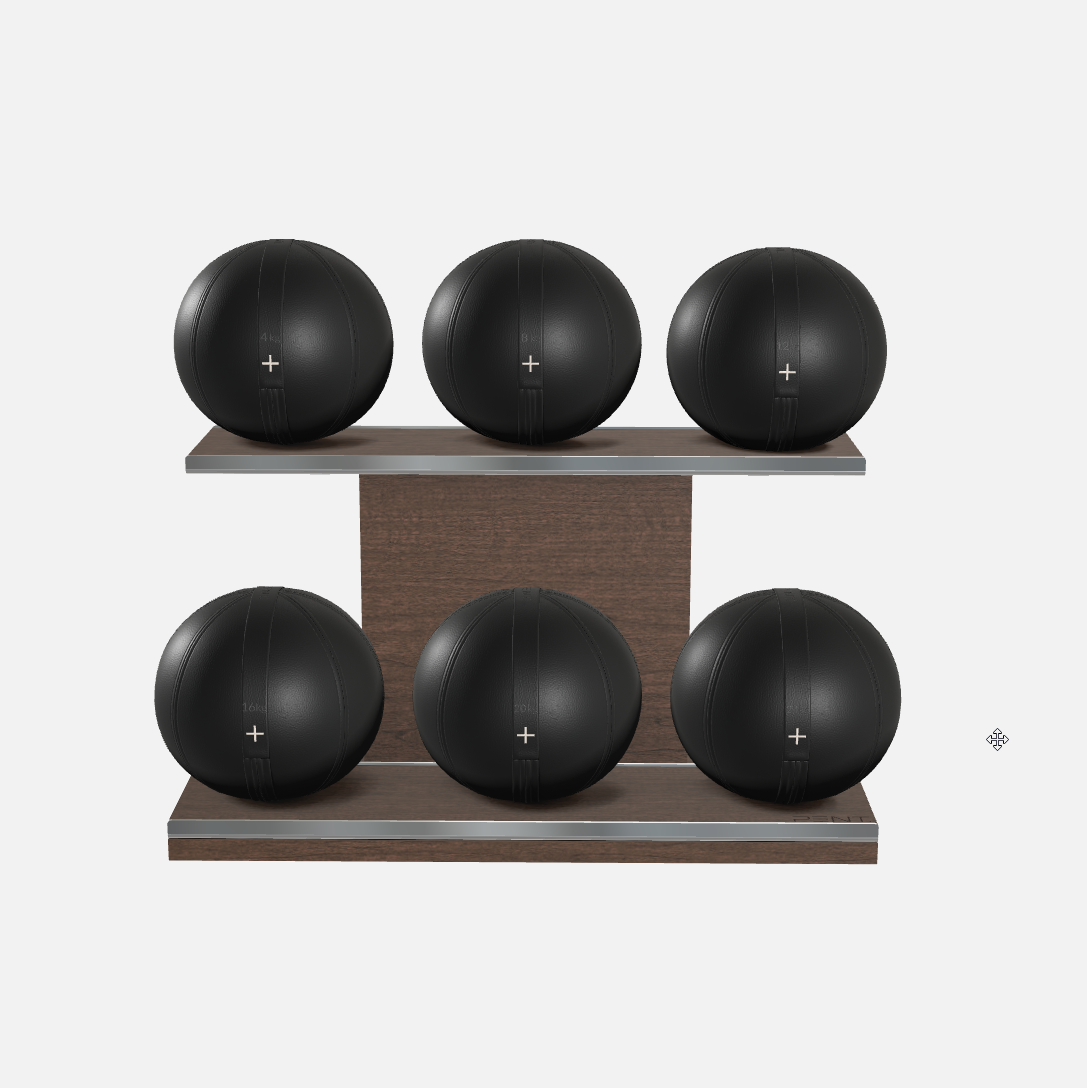Moxa Leather Medicine Ball Set, Full