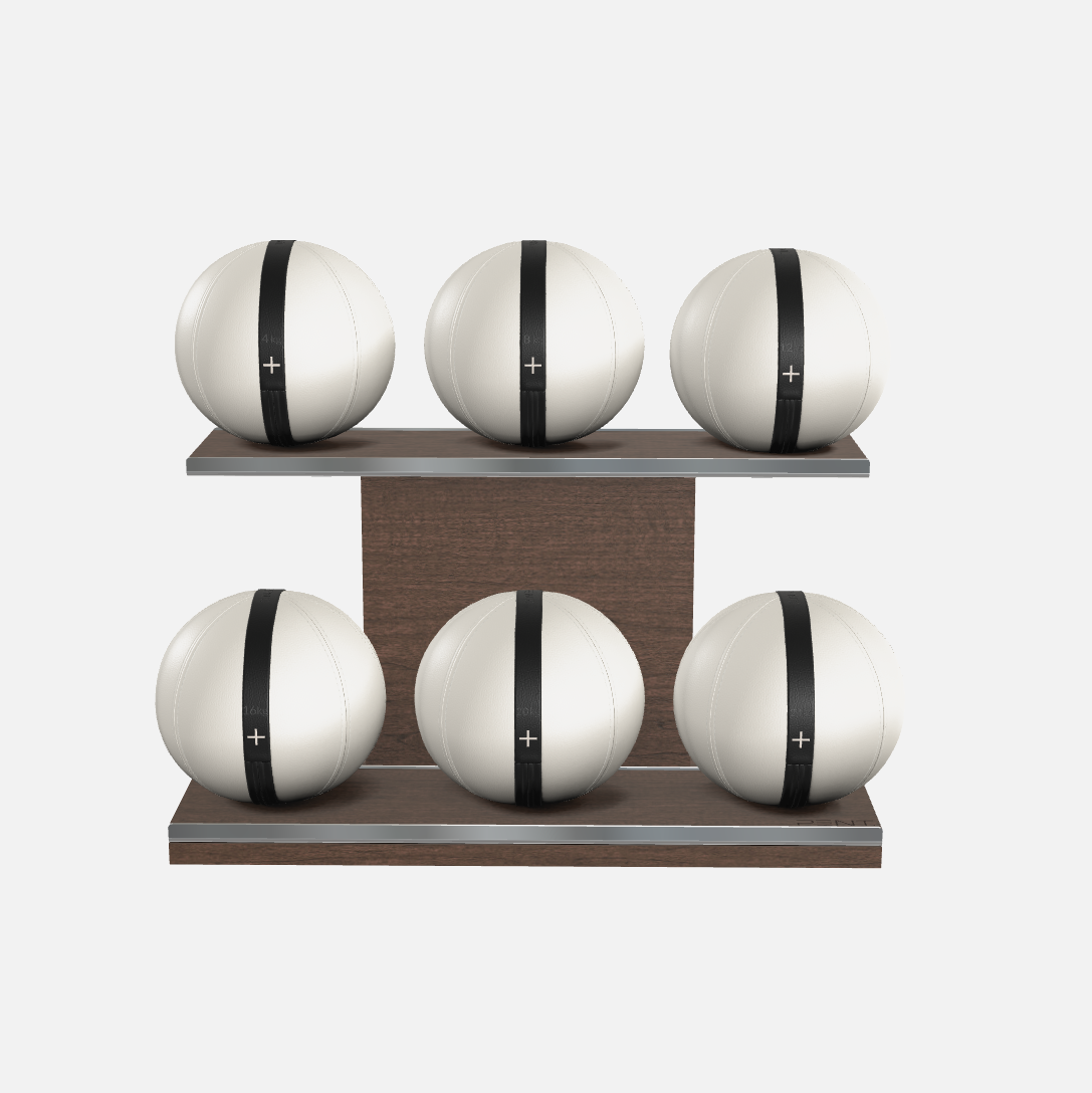 Moxa Leather Medicine Ball Set, Full