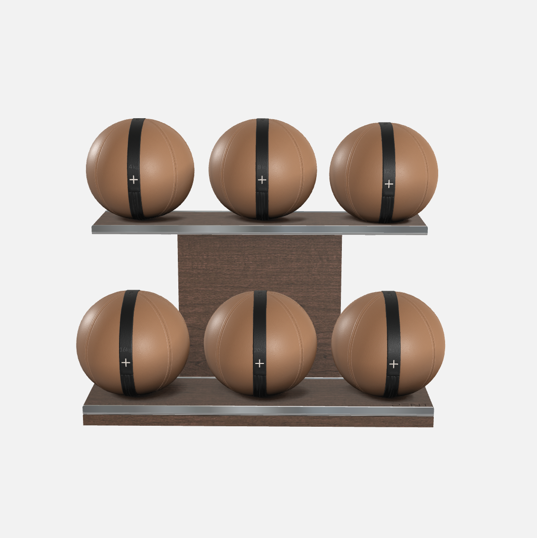Moxa Leather Medicine Ball Set, Full