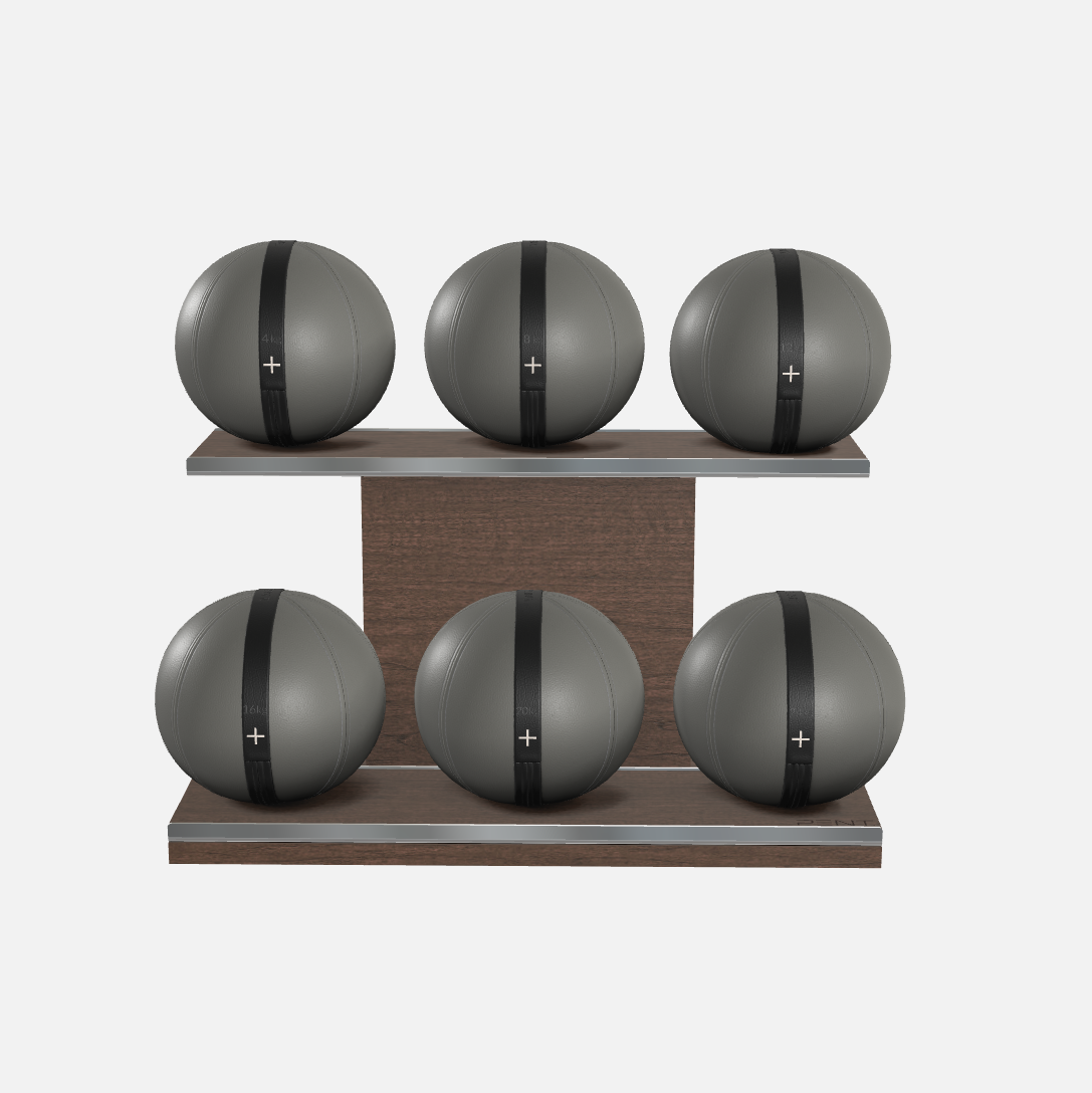 Moxa Leather Medicine Ball Set, Full