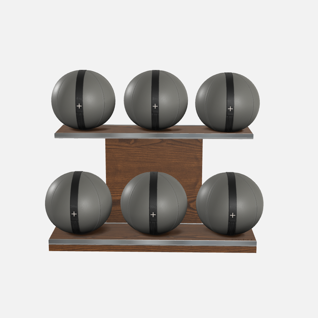Moxa Leather Medicine Ball Set, Full