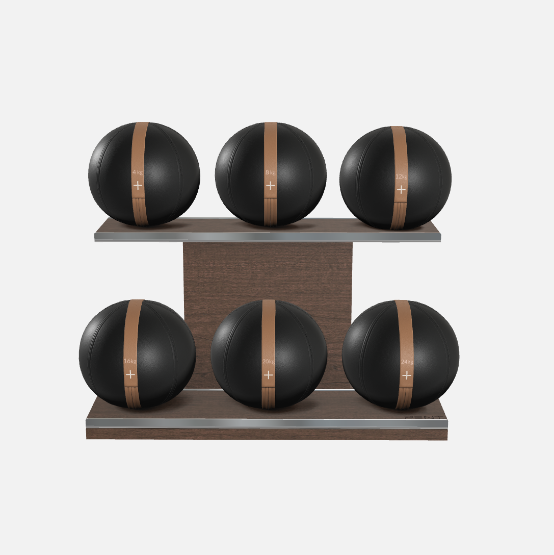 Moxa Leather Medicine Ball Set, Full