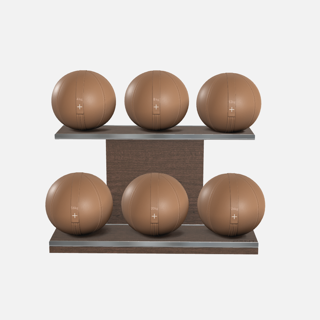 Moxa Leather Medicine Ball Set, Full