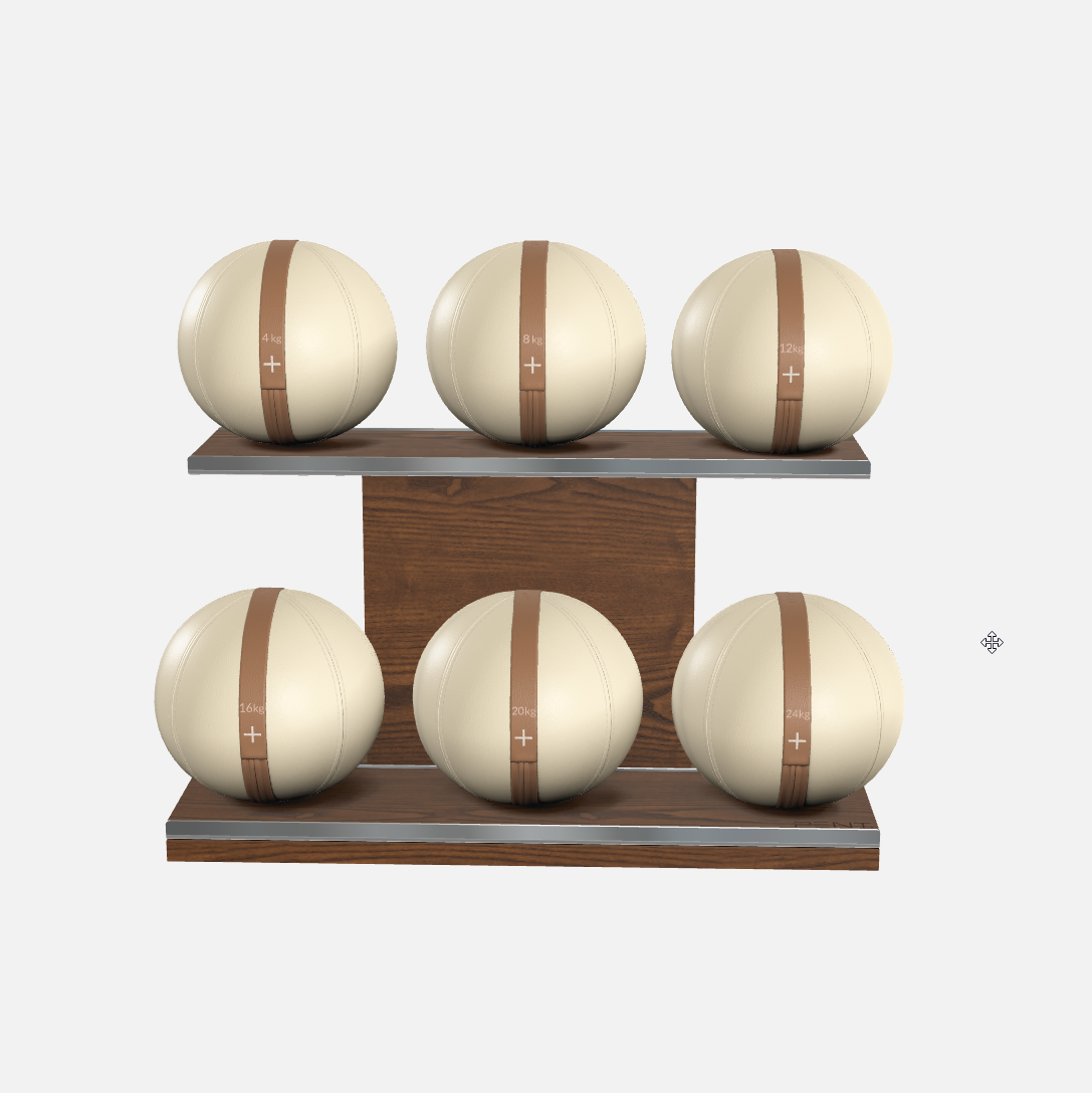 Moxa Leather Medicine Ball Set, Full