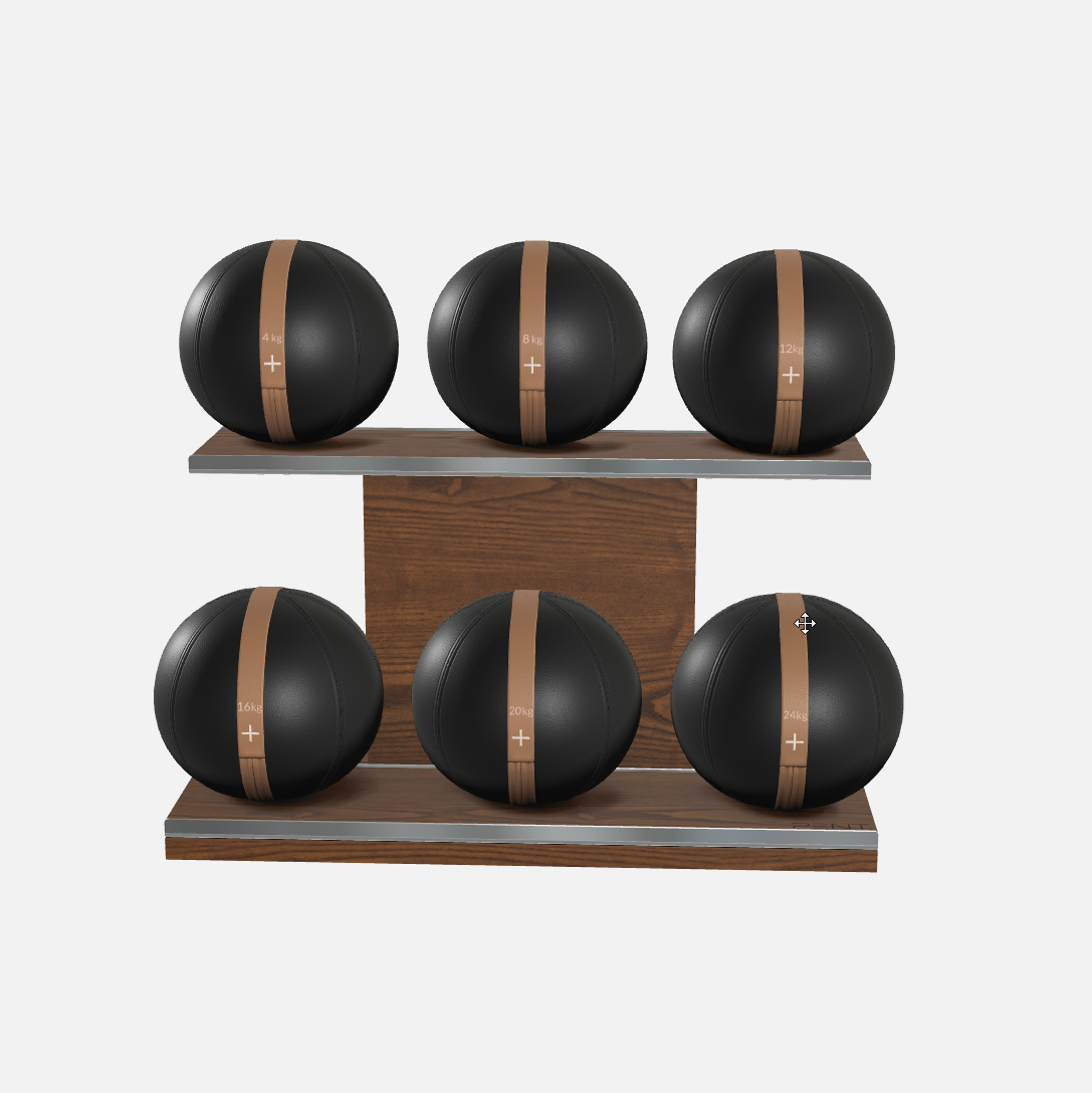 Moxa Leather Medicine Ball Set, Full