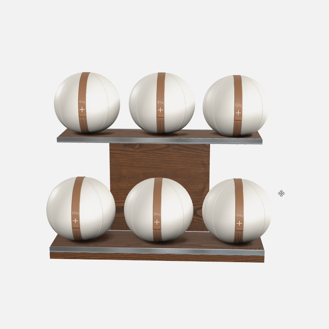 Moxa Leather Medicine Ball Set, Full