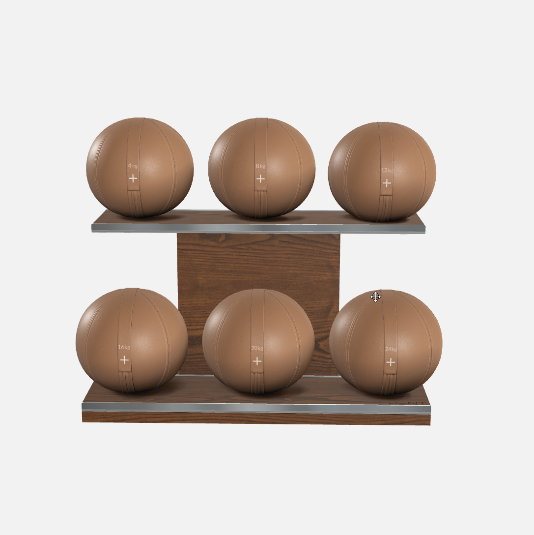 Moxa Leather Medicine Ball Set, Full