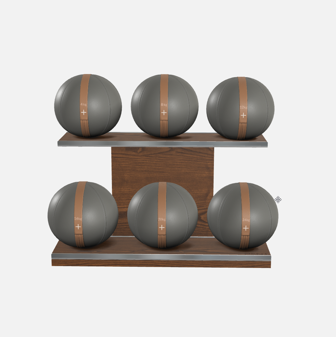 Moxa Leather Medicine Ball Set, Full