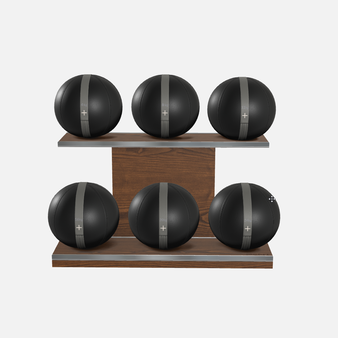 Moxa Leather Medicine Ball Set, Full