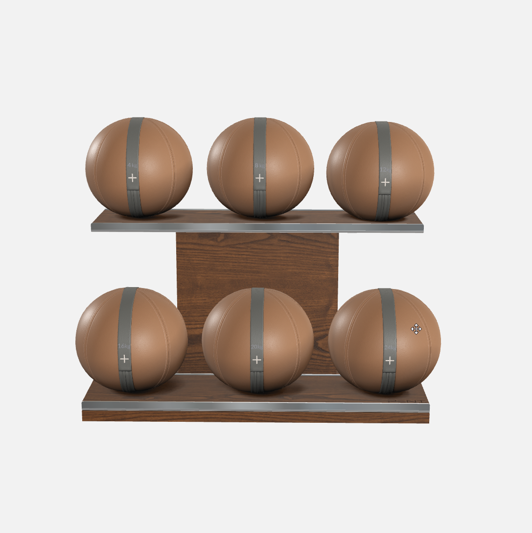 Moxa Leather Medicine Ball Set, Full
