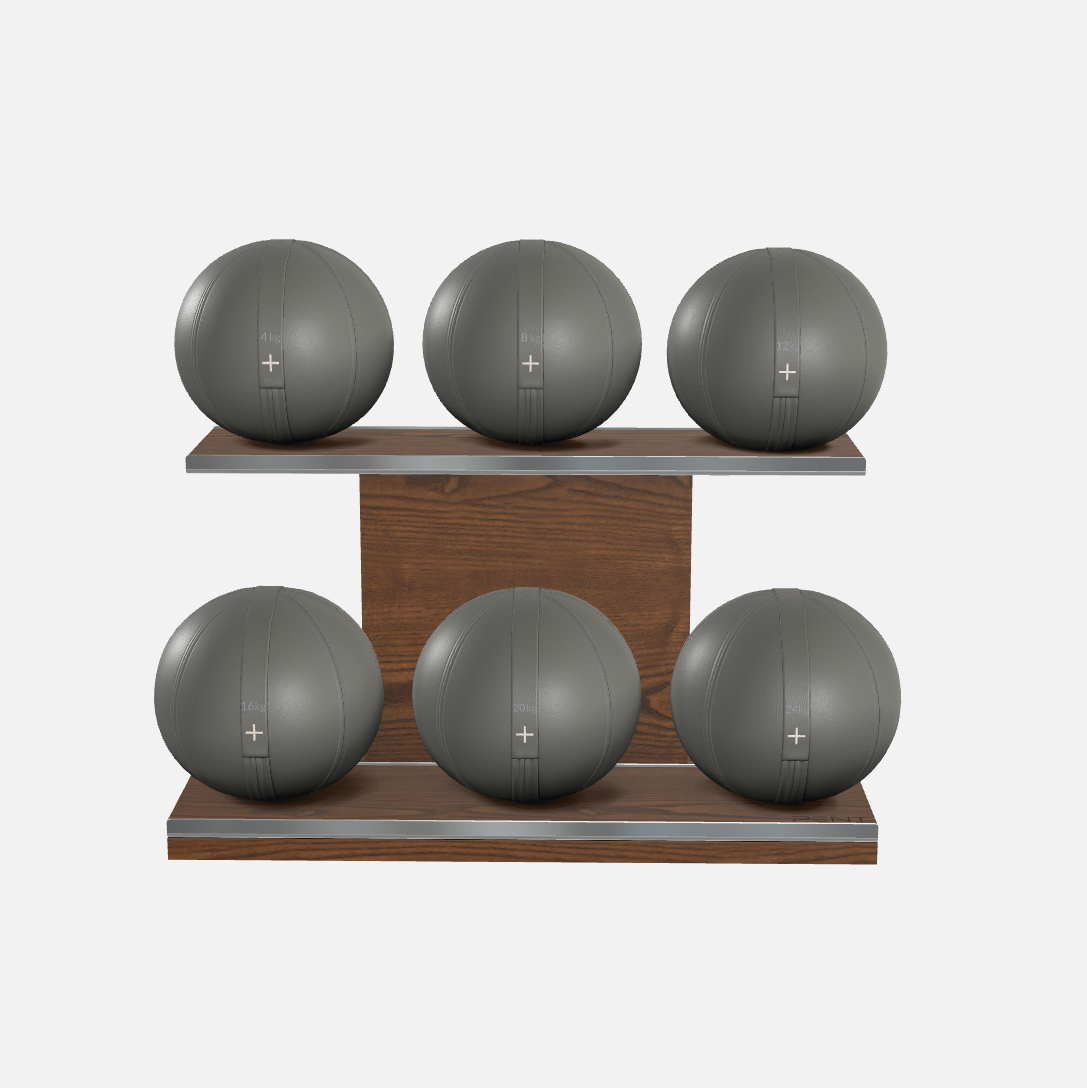 Moxa Leather Medicine Ball Set, Full