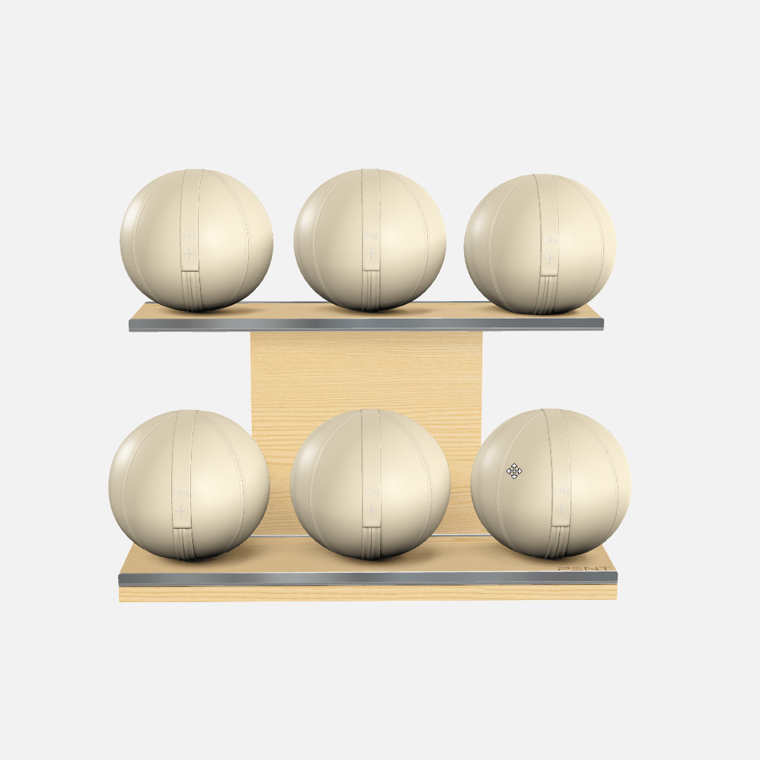 Moxa Leather Medicine Ball Set, Full