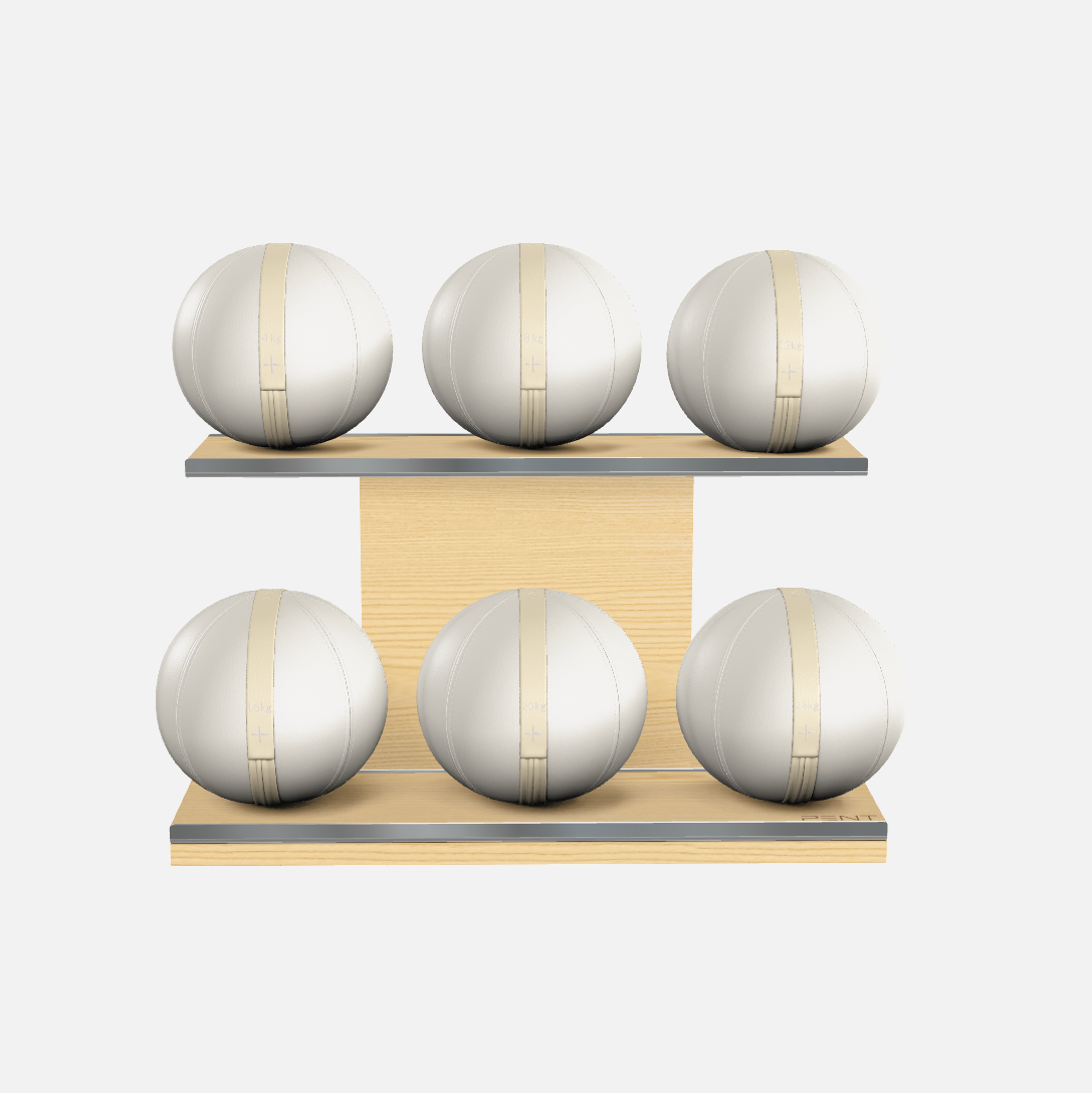 Moxa Leather Medicine Ball Set, Full